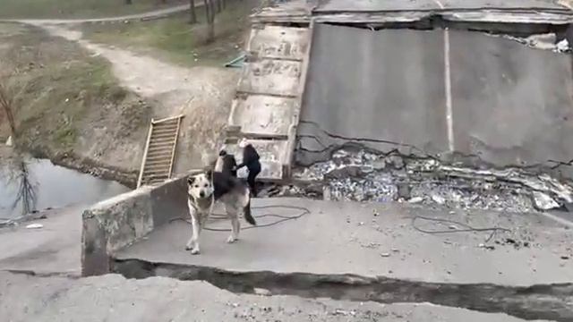 Мариуполь. Мост ул. Карпинского, у Экстрим парка. 02 апреля 22г смотреть онлайн