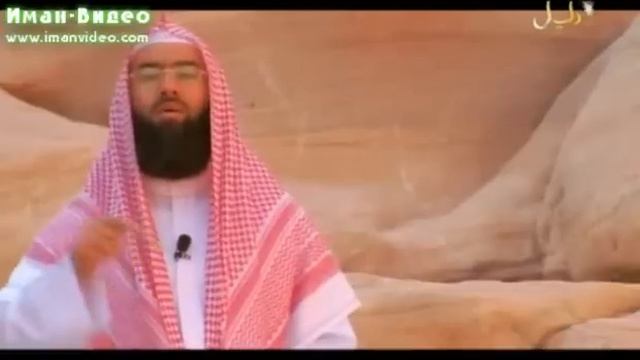 Истории о пророках Салих (а.с.)