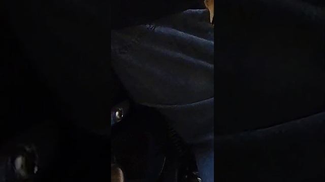 2009 Suzuki Boulevard M50 Startup, using my Insta360 X3 #Suzuki M50 #insta360x3 смотреть онлайн