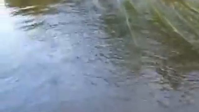 Август 2012 Прогулки по Колпи смотреть онлайн