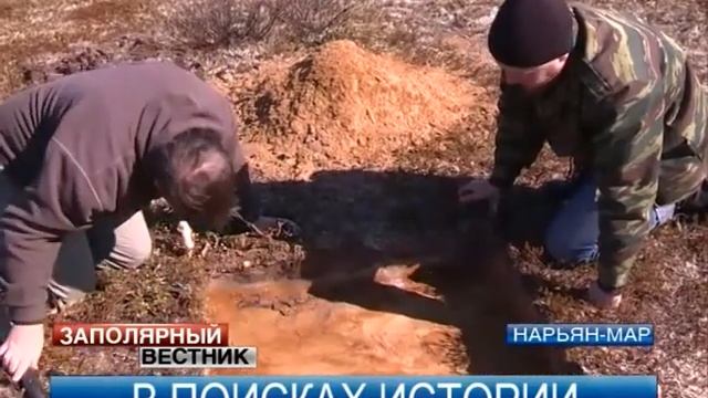 Археологические раскопки в окрестностях Нарьян-Мара смотреть онлайн