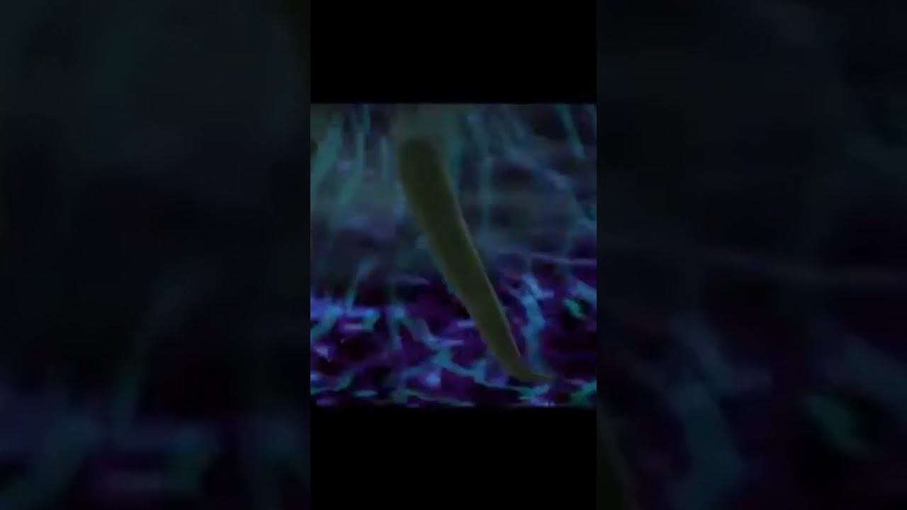 11 января 2024 г. смотреть онлайн