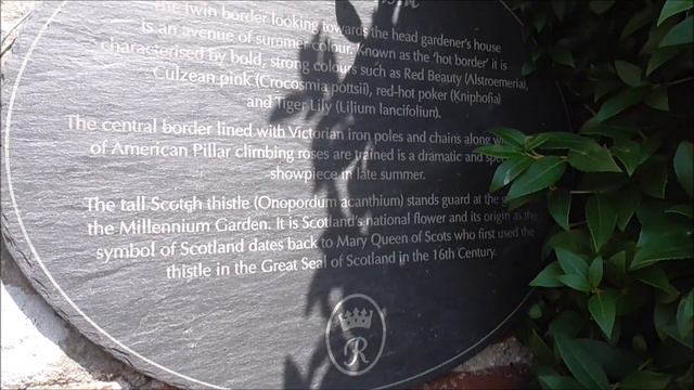 Origin of Scottish Thistle National Symbol of Scotland смотреть онлайн
