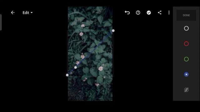 Premium Moody lightroom preset||Moody Green||DNG file download, mobile tutorial смотреть онлайн