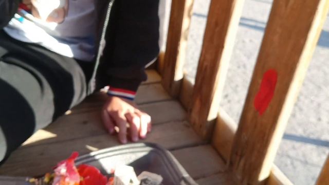 секретный набор роллов, смотреть всем!1!1!!1!1! смотреть онлайн