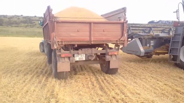 Уборка озимыи ЕЧМЕНЬ с комбайном VECTOR 410 и МТЗ 82.1 / MOLDOVA смотреть онлайн