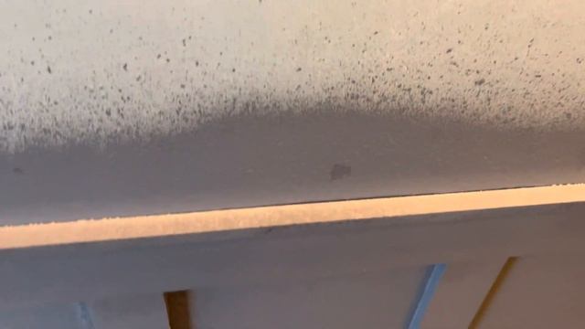 Week 28: My first EVER attempt at spray painting ? Bosch PFS 3000-2 смотреть онлайн