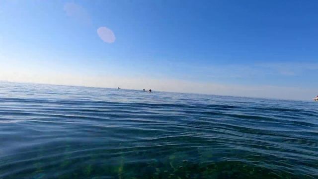 ЛАЗАРЕВСКОЕ СЕГОДНЯ ?СОЧИ. Купаюсь 26.10.2020г. Дельфины на центральном пляже! смотреть онлайн