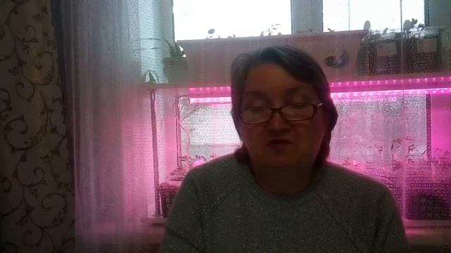 Ваши работы//Мои Ответы На Вопросы TAG "Игрушечных дел мастер" смотреть онлайн