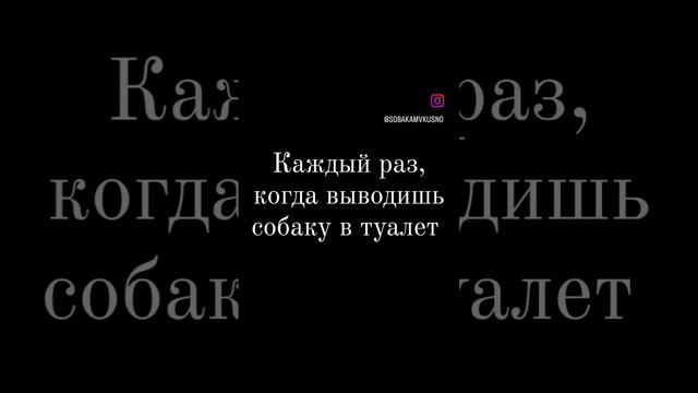 у вас так же? #бигль #dog #beaglebreed #лакомствадлясобак #дрессура #puppy смотреть онлайн