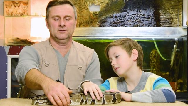 Питон или удав. смотреть онлайн