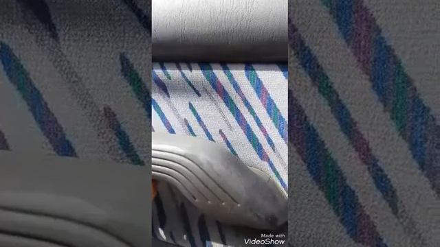 Химчистка салона авто тройным спонжем инволвер от Гринвей. Кызыл Окаана 9133592227 смотреть онлайн