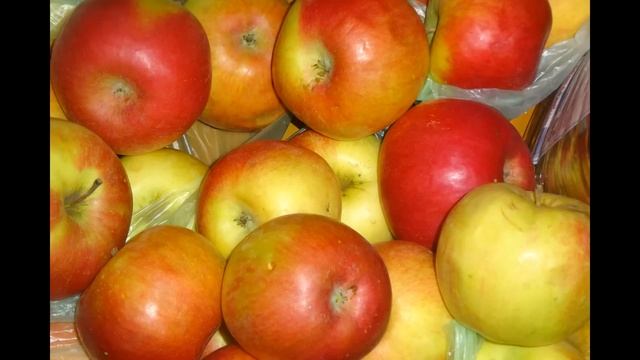 Эпиляция бикини: лучшие методы и советы