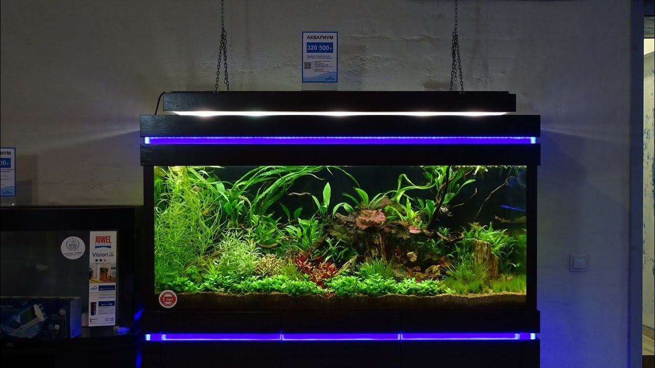 Выбираем фон для аквариума смотреть онлайн