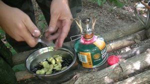 Лучше любого тактического рюкзака! РД-54 Ранец десантный для походов