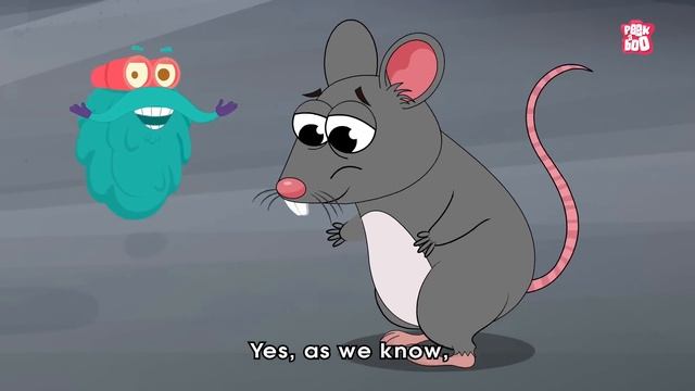 What If All The Rats Disappeared? | World Without RATS | The Dr Binocs Show | Peekaboo Kidz смотреть онлайн