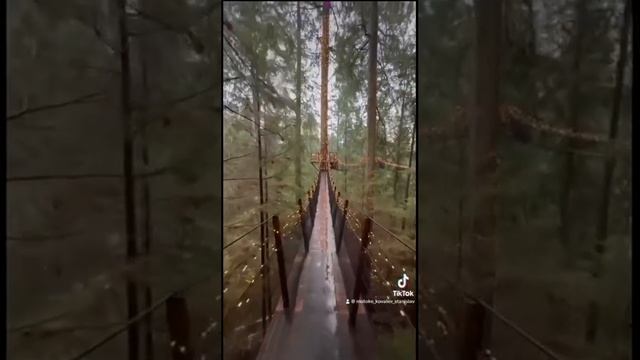 Мотивация 

#футаж #шортс #shorts #lifestyle #любовь #романтика