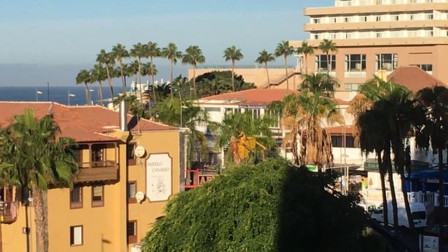 Пальма Вашингтония. Обрезка сухих листьев.Тенерифе. Коста Адехе. 2019 год. Фитопатолог Рязанов Егор смотреть онлайн