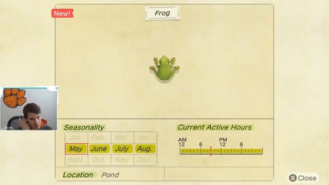 How to Catch a Frog | Frpg ACNH | Animal Crossing New Horizons Frog | ACNH Frog | Catch a Frog смотреть онлайн