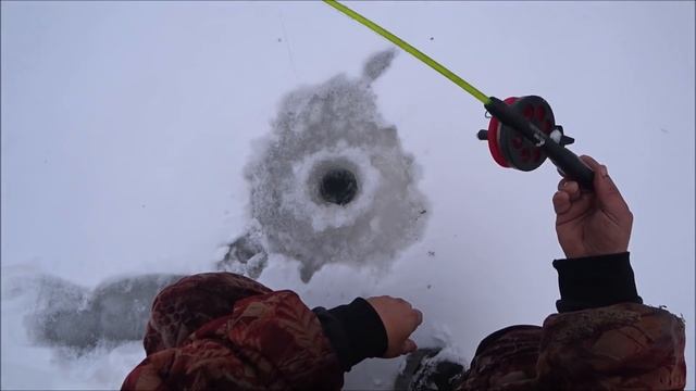 РЫБАЛКА ХАПУГИ С ПОДВОДНОЙ КАМЕРОЙ смотреть онлайн