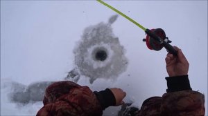 РЫБАЛКА ХАПУГИ С ПОДВОДНОЙ КАМЕРОЙ