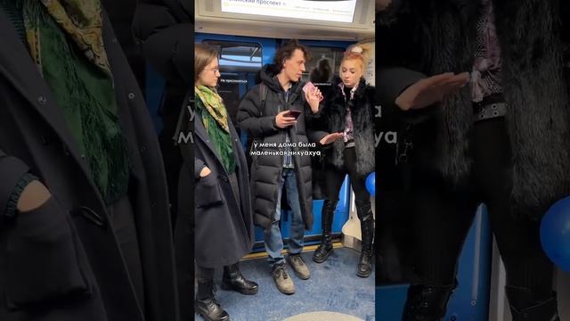 КТО ЛУЧШЕ — КОШКИ или СОБАКИ ?? ???узнаем в комментариях смотреть онлайн