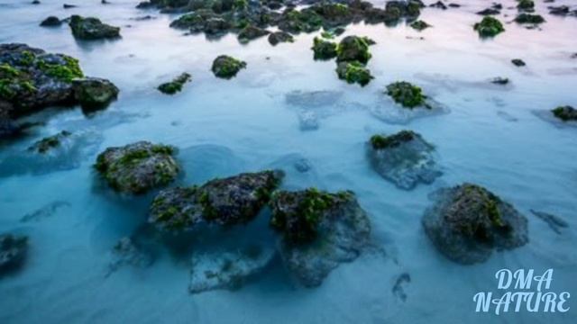 Island Jeju. South Korea. Остров Чеджу. Южная Корея смотреть онлайн