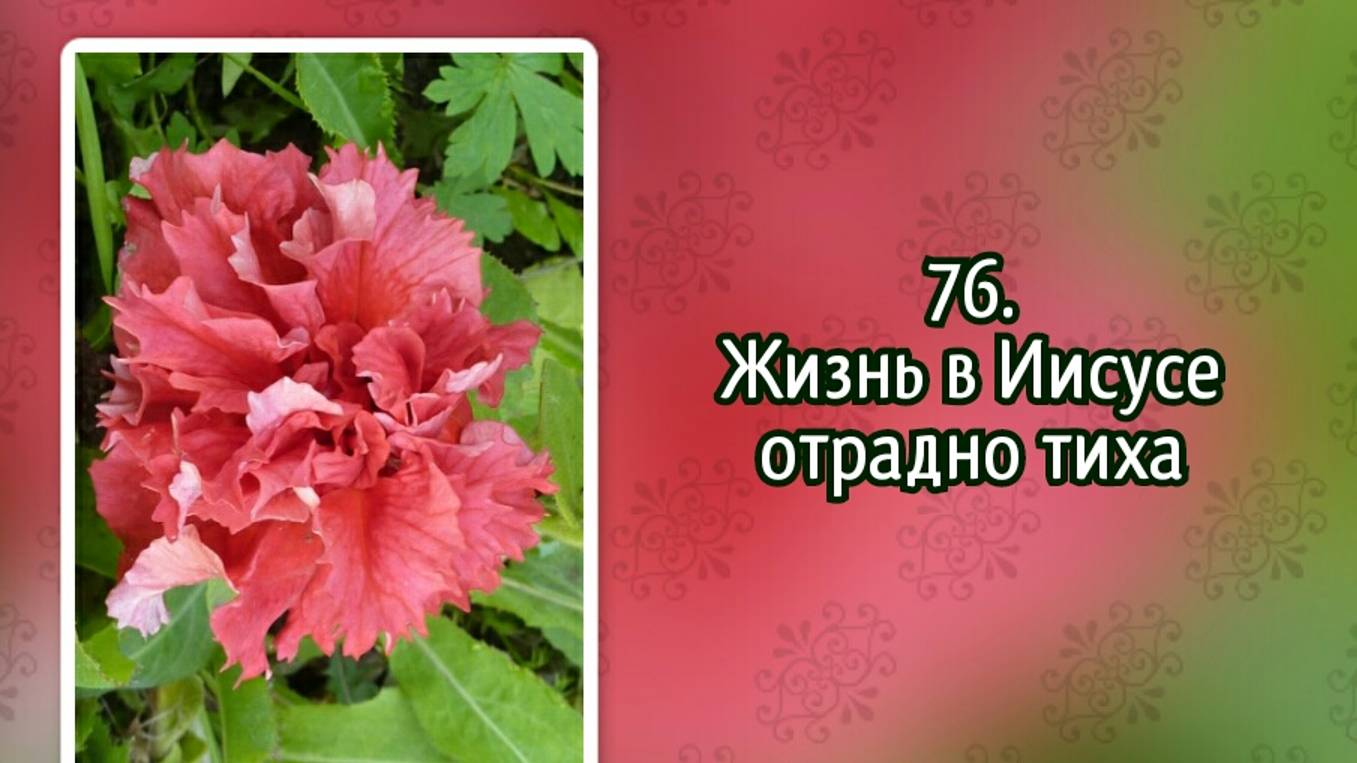 Гимны надежды 76 Жизнь в Иисусе отрадно тиха (-) смотреть онлайн