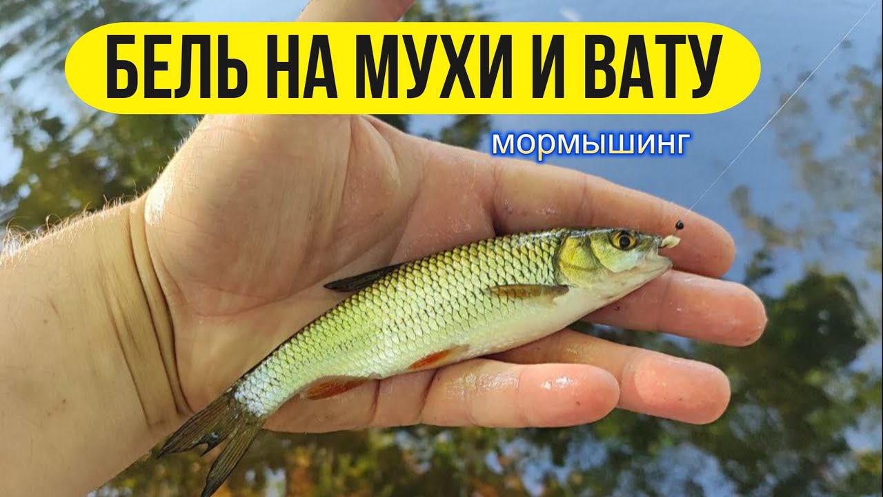 #мормышинг | Леска или шнур в мормо? | Мухи, вата | смотреть онлайн
