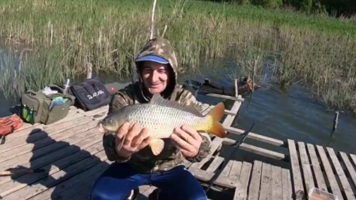 САЗАНЫ РВУТ В КЛОЧЬЯ ПОВОДКИ И УТАСКИВАЮТ УДИЛИЩЕ. ЛОВЛЯ САЗАНА ВЕСНОЙ. РЕКА ДОН. смотреть онлайн