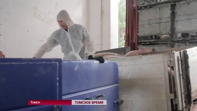 Томская область обеспечена мясом свинины на 146 процентов смотреть онлайн