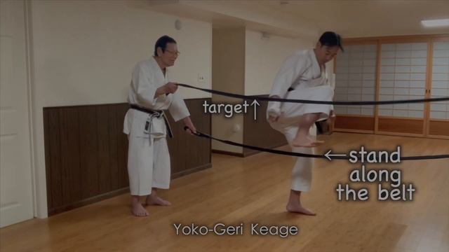 Keri Training by the Shotokan Legend Yutaka Yaguchi Sensei смотреть онлайн