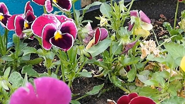 АНЮТИНЫ ГЛАЗКИ.Видео Татьяны Крестьянсковой смотреть онлайн