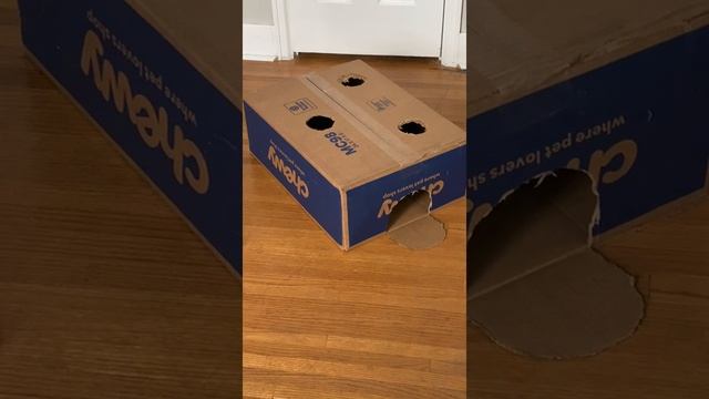 Запрещенный удар крота.mp4