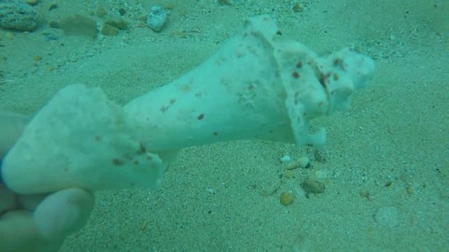 10 Shell Flower смотреть онлайн