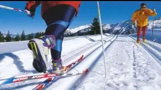 Как ПРАВИЛЬНО КАТАТЬСЯ НА ЛЫЖАХ. Техника, способы передвижения на лыжах смотреть онлайн