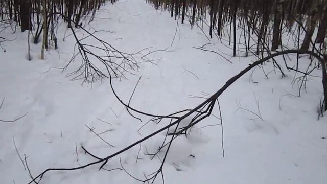 MVI 5891 охота с РПГ смотреть онлайн