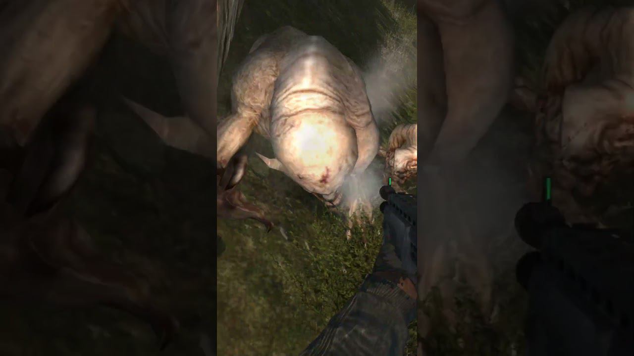 КОРЯБАЛКИ РАСКОРЯБАЛИ - Сталкер ОП 2.2 Mod Pack LSC short #shorts смотреть онлайн