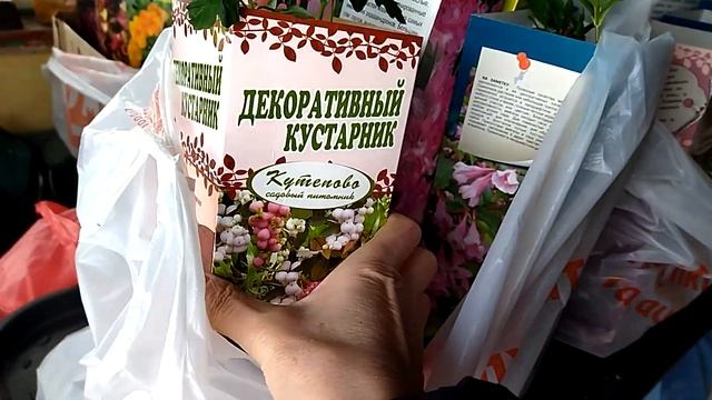 На даче 30 марта 2022 года марта смотреть онлайн
