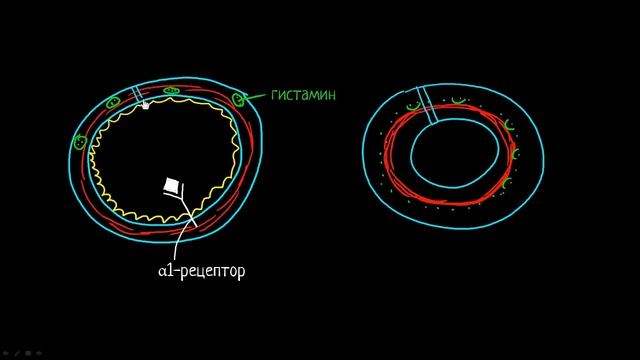 Астма | Медицина