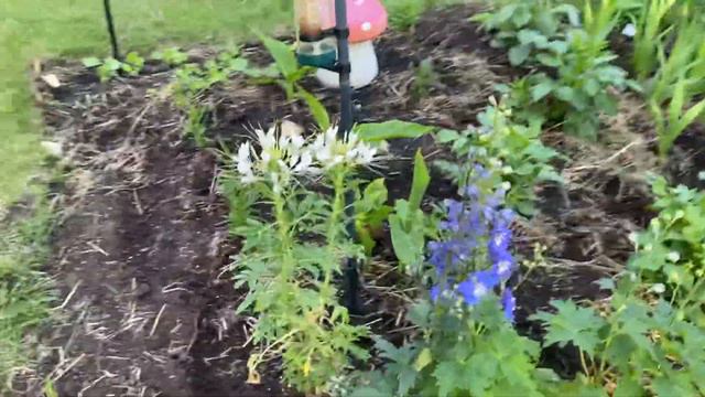 June Front Flower Bed Tour смотреть онлайн