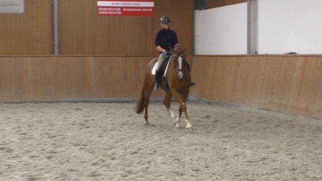 PVA Katalog-Nr. 1 - Verkaufsschau Wolfersdorf смотреть онлайн