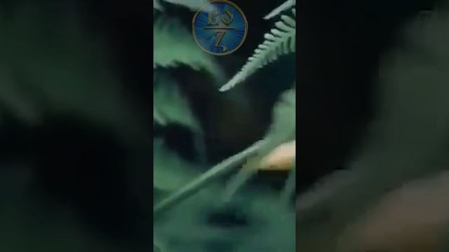 Сосуды теряют эластичность и лопаются. #Shorts смотреть онлайн