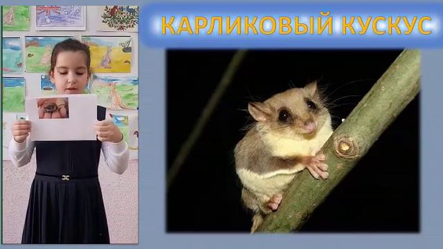 1А класс (клас руководитель Малышева ЛС). Проект "Приветы со всего света. Австралия" смотреть онлайн