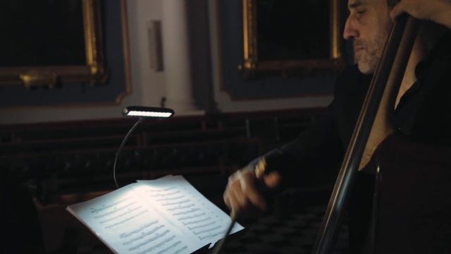 Vivaldi : Concerto for 2 Cellos in G Minor RV 531 - Largo смотреть онлайн