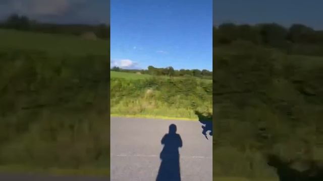 Drz fun #drz #drz400sm #wheelie #wheelieboyz смотреть онлайн