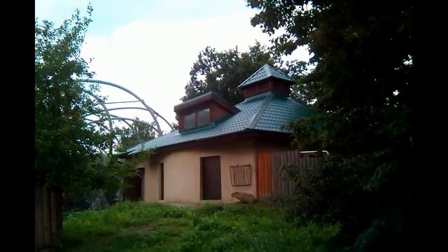День 2 й, Зоопарк 2 смотреть онлайн