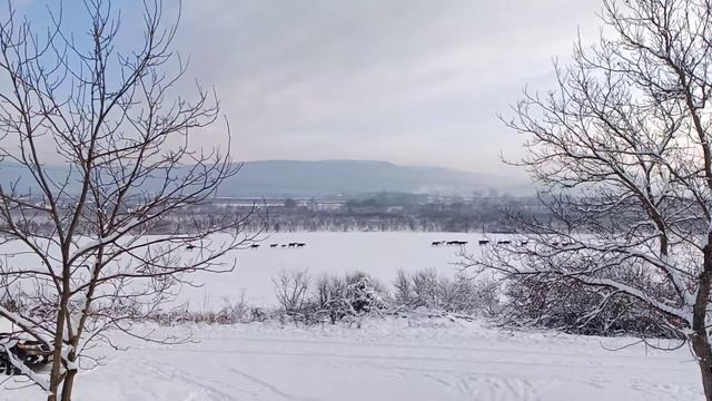 Зимнее утро смотреть онлайн