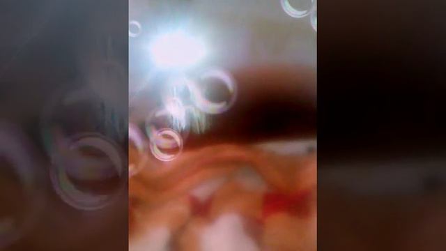 Бывший парень смотреть онлайн