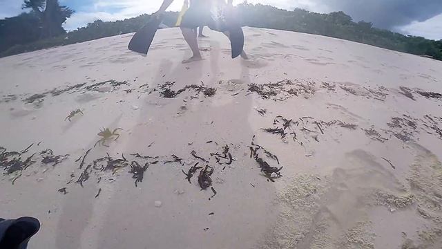 One day in Bird Island Seychelles 2015 (Off Season) смотреть онлайн
